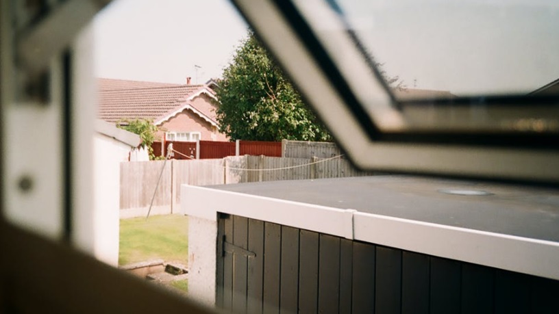 backyard with shed